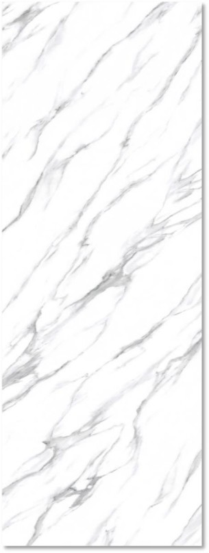 Elegant White