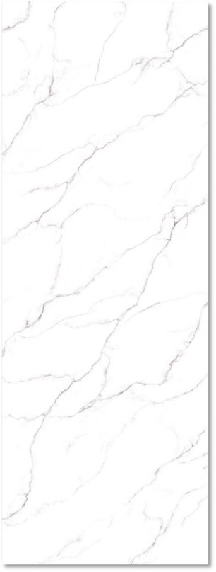 Fish Maw White